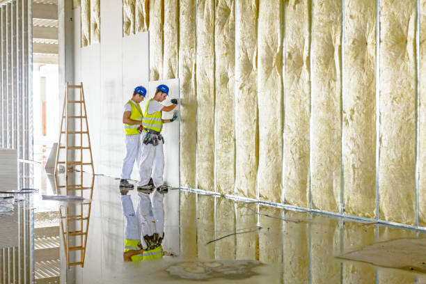 Best DIY Insulation Kits and Guidance in Evansville, IN